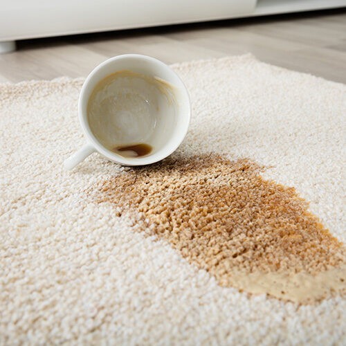 Coffee Spilling From Cup On Carpet | Carpet Selections