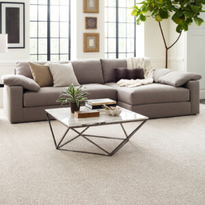 carpet in the home | Carpet Selections | Prospect and Louisville, KY