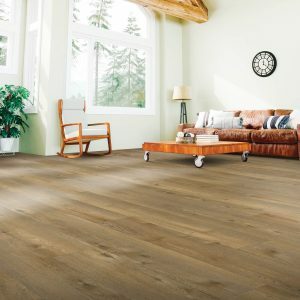 Laminate flooring for living room | Carpet Selections | Prospect and Louisville, KY
