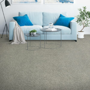 Living room Carpet | Carpet Selections | Prospect and Louisville, KY