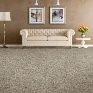 Soft carpet | Carpet Selections | Prospect and Louisville, KY