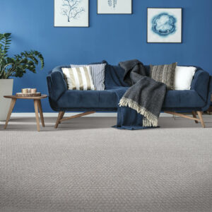 Blue couch on carpet floor | Carpet Selections | Prospect and Louisville, KY