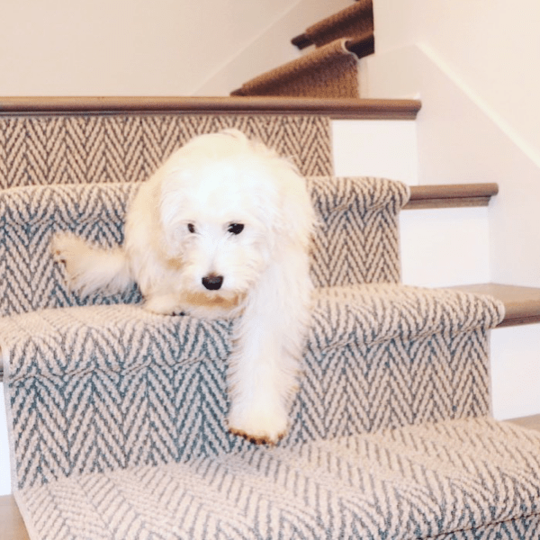 Custom stair runner from Carpet Selections | Prospect and Louisville, KY