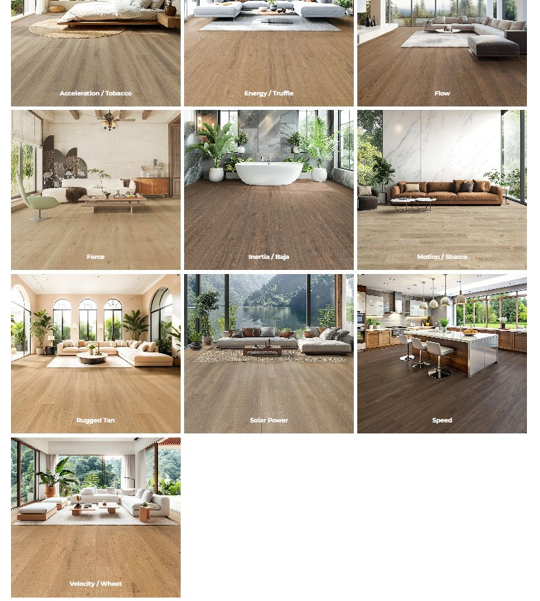 TRUE TOUCH MOMENTUM FLOORS | Carpet Selections
